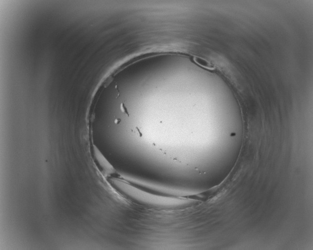 X0000070341184200606161243