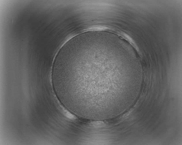 X0000070341186200606161243