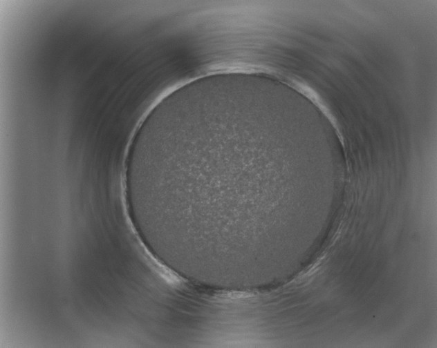 X0000070341187200606161242