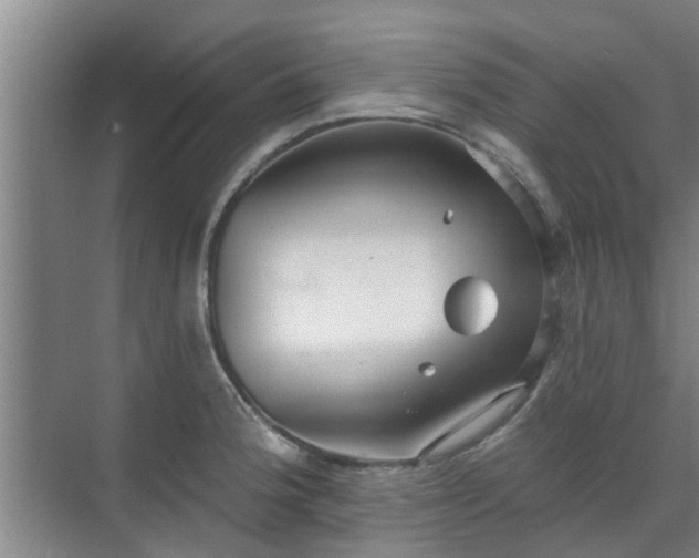 X0000070341188200606161242