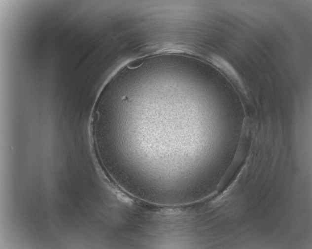 X0000070341190200606161242