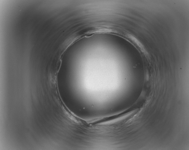 X0000070341193200606161242