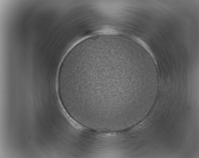 X0000070341195200606161242