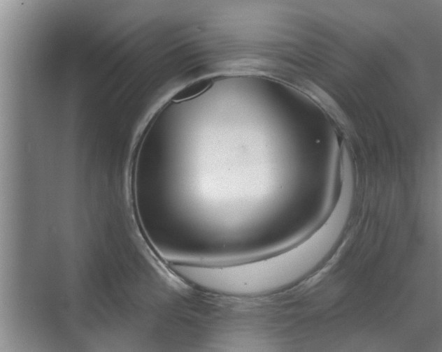 X0000070341196200606161242