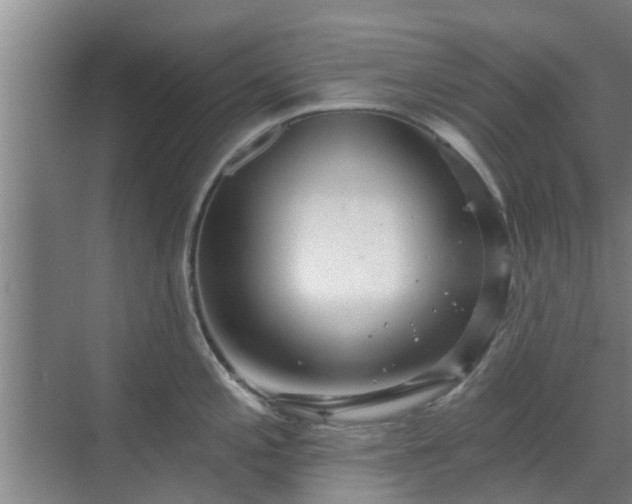 X0000070341197200606161242