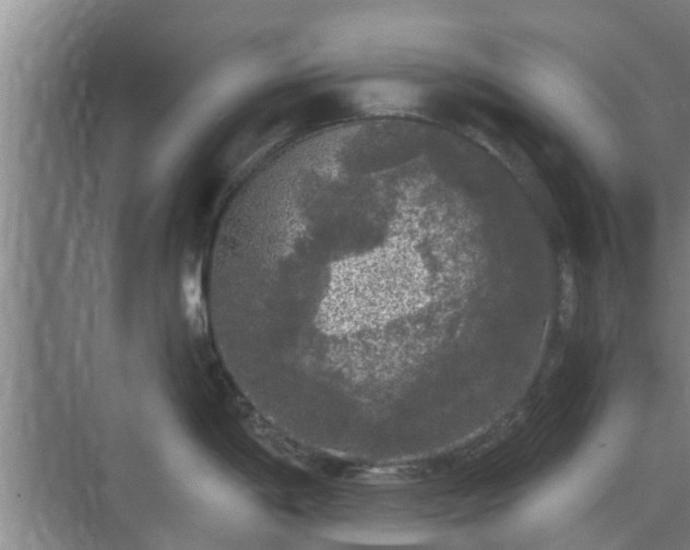 X0000070341198200606161242