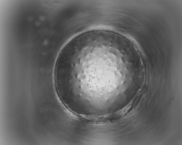 X0000070341199200606161242