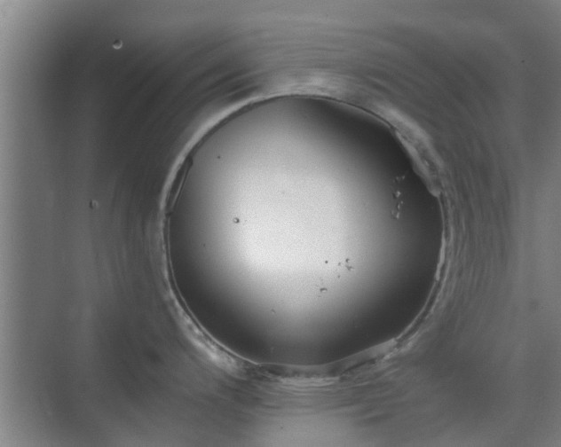 X0000070341200200606161242