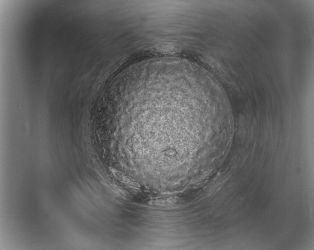 X0000070341201200606161241