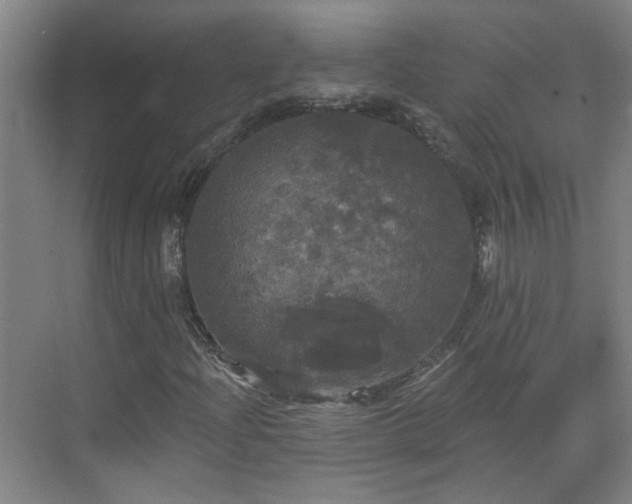 X0000070341204200606161242