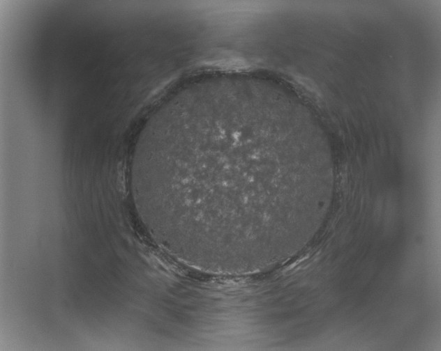 X0000070341205200606161242