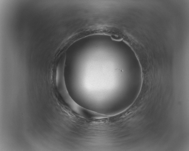 X0000070341206200606161242