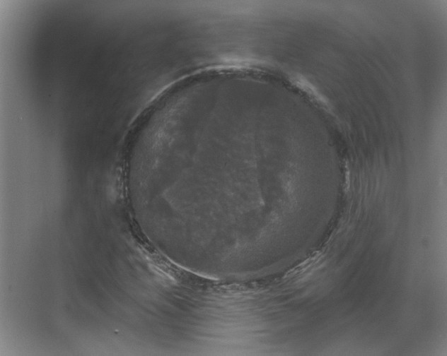 X0000070341208200606161242