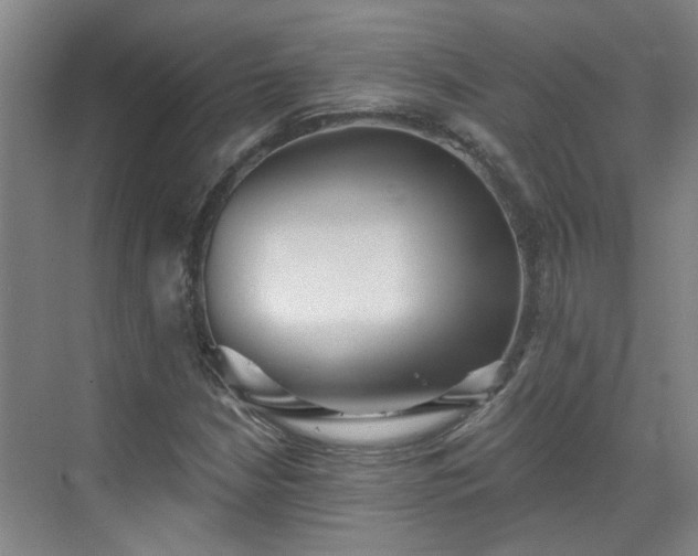 X0000070341210200606161242