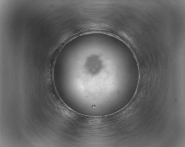 X0000070341211200606161242