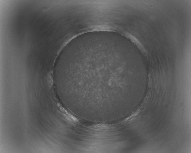 X0000070341212200606161242