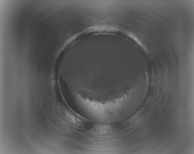 X0000070341213200606161242