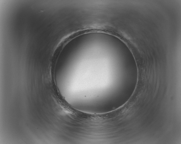 X0000070341214200606161242