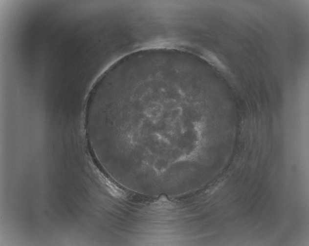 X0000070341216200606161242