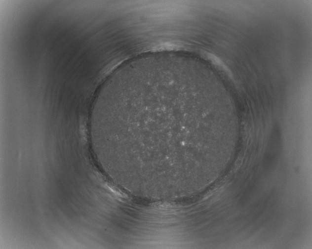 X0000070341217200606161242