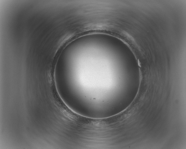 X0000070341218200606161242