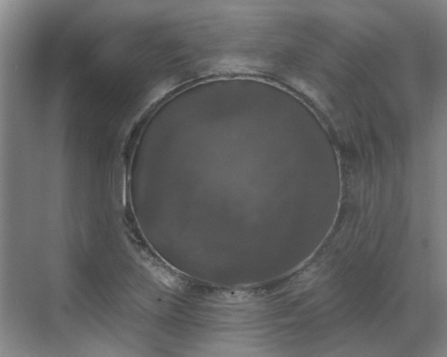 X0000070341219200606161242