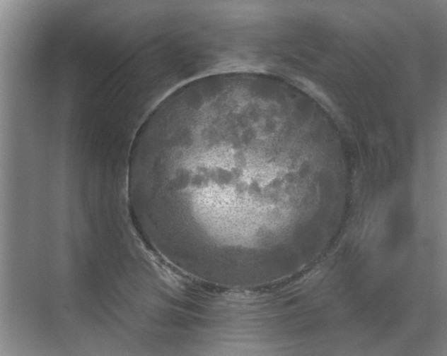 X0000070341220200606161242