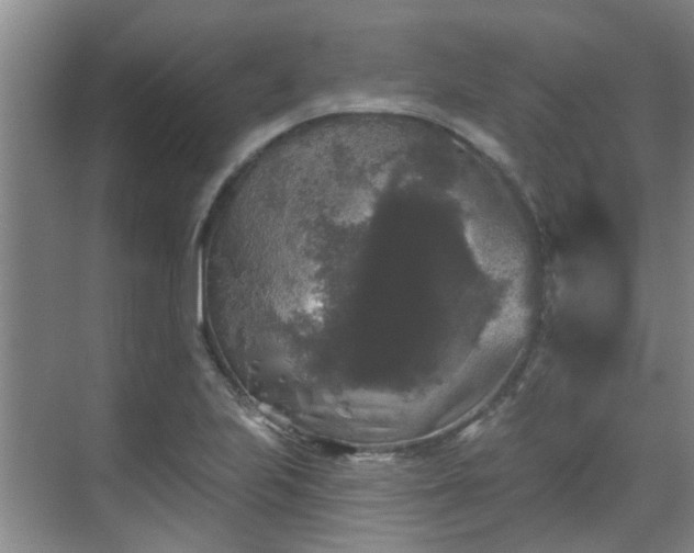 X0000070341223200606161242