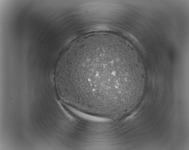 X0000070341225200606161242