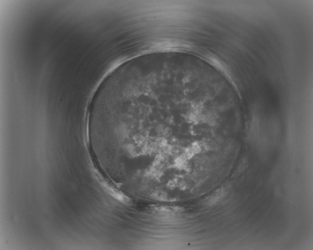 X0000070341227200606161242