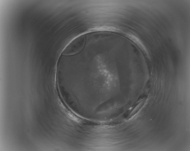 X0000070341228200606161242