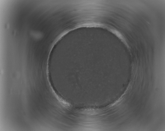 X0000070341229200606161242