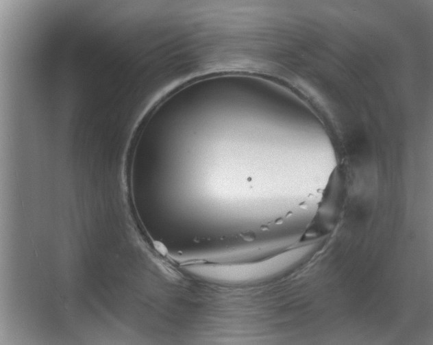 X0000070341230200606161242