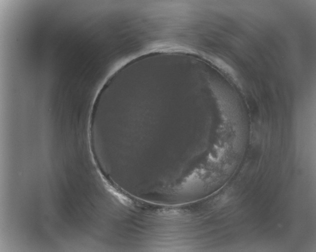 X0000070341231200606161242