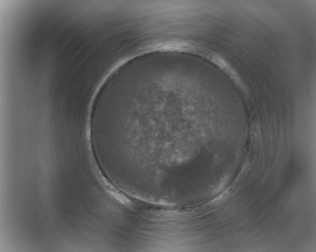 X0000070341232200606161242