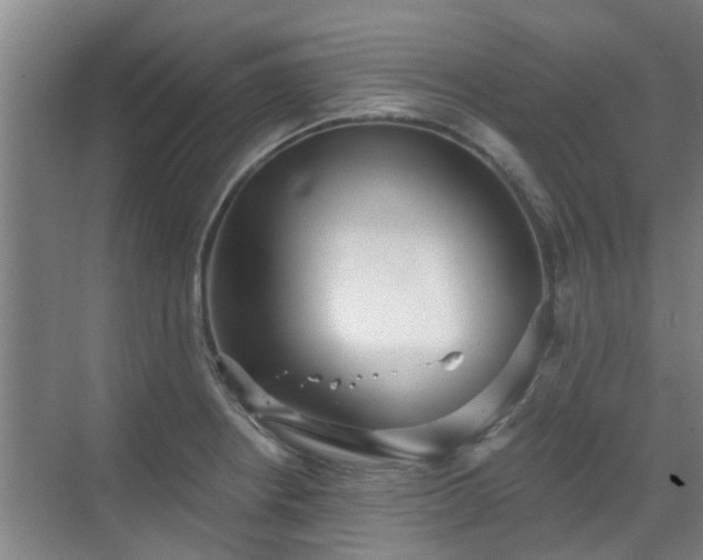 X0000070341234200606161242