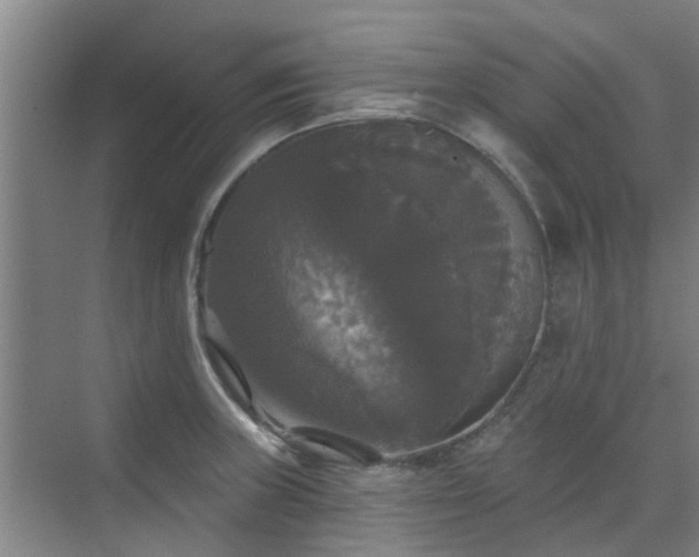 X0000070341235200606161242