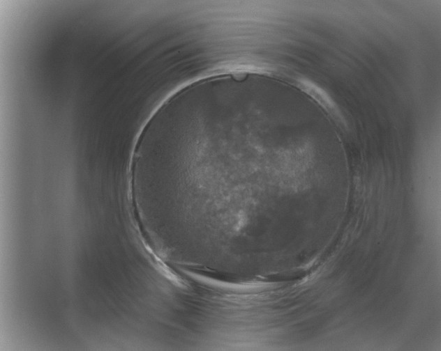 X0000070341236200606161242