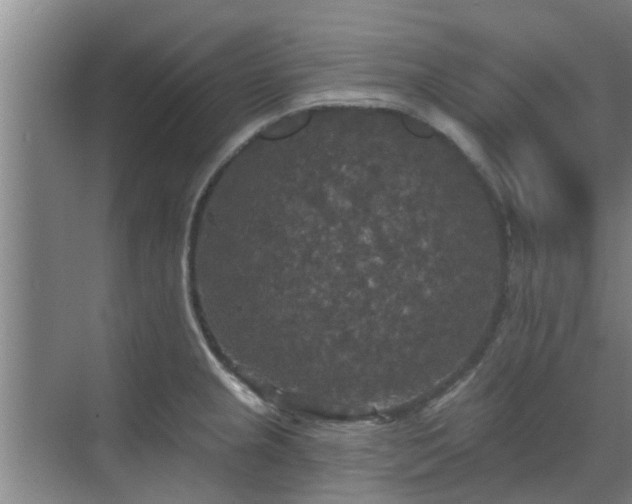 X0000070341237200606161242