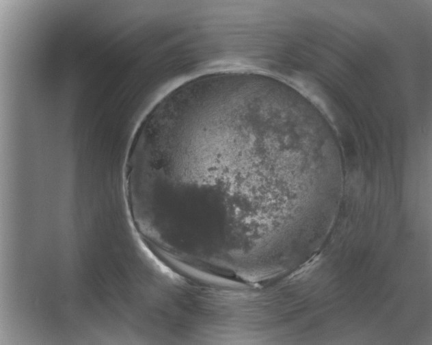 X0000070341239200606161242