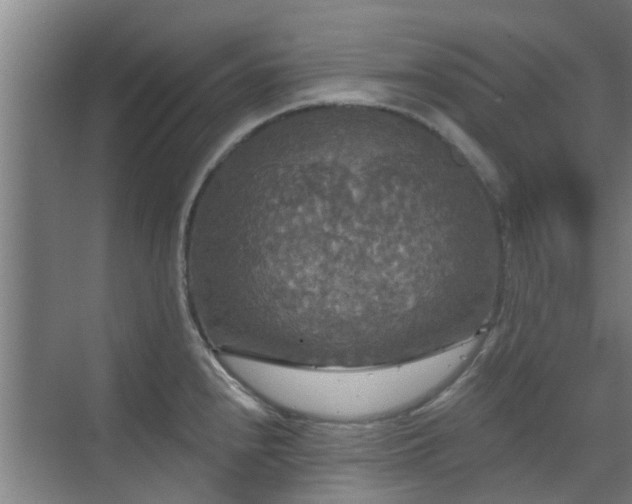 X0000070341240200606161242