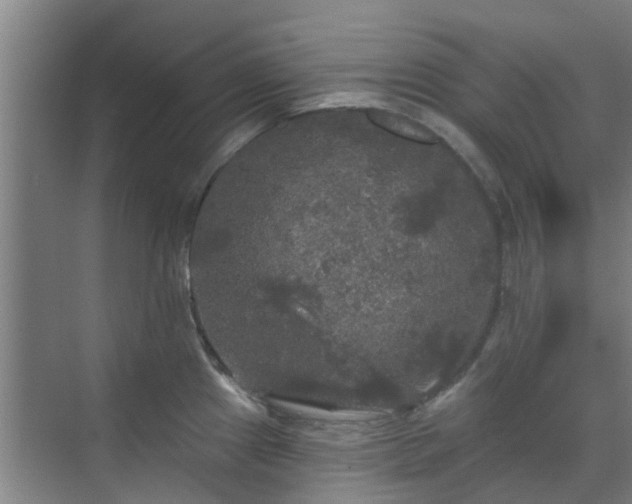 X0000070341241200606161242