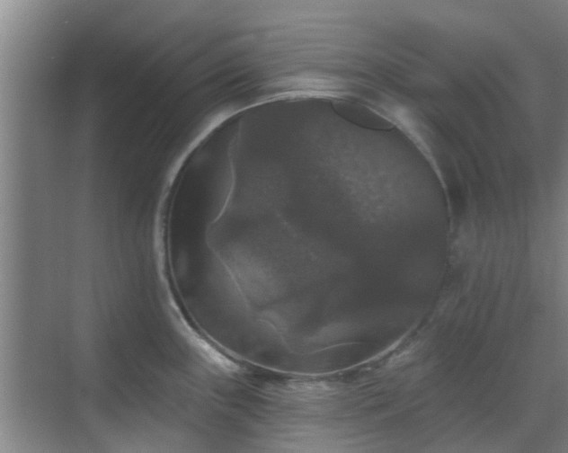 X0000070341243200606161242