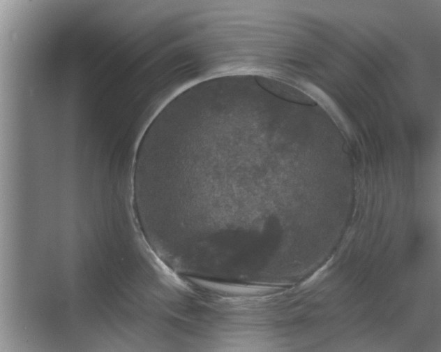 X0000070341244200606161242