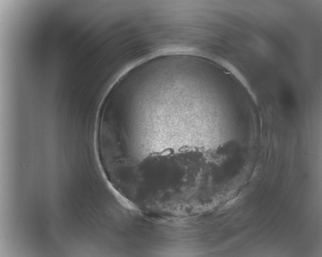 X0000070341245200606161242