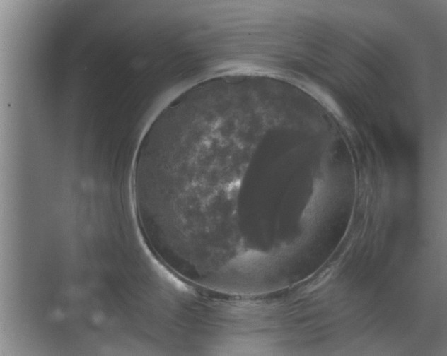 X0000070341247200606161242