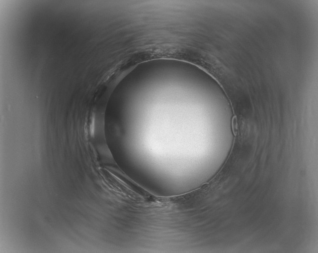 X0000070341250200606161241