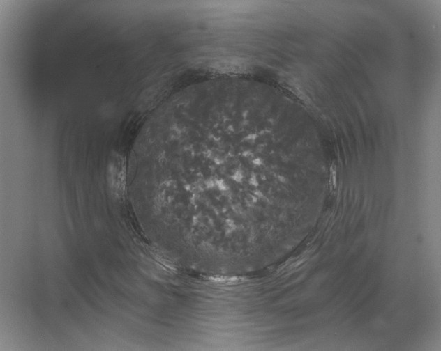 X0000070341251200606161241