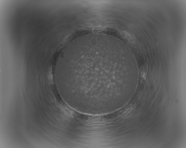 X0000070341252200606161241