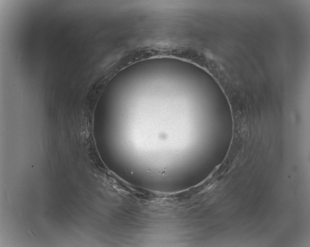 X0000070341253200606161241